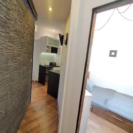 Apartment Rzerznicza *